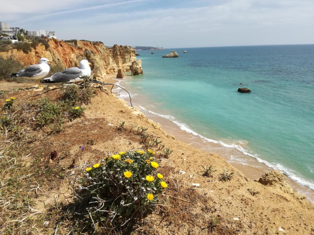apartamento Jeni Portimao Bagian luar foto